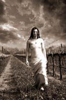 Napa Shoot 1.29.07-2.1.07