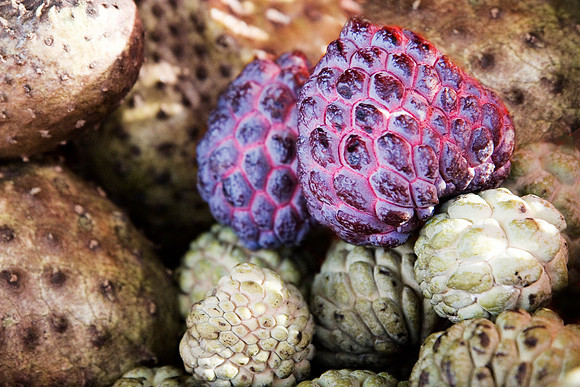 Purple fruit